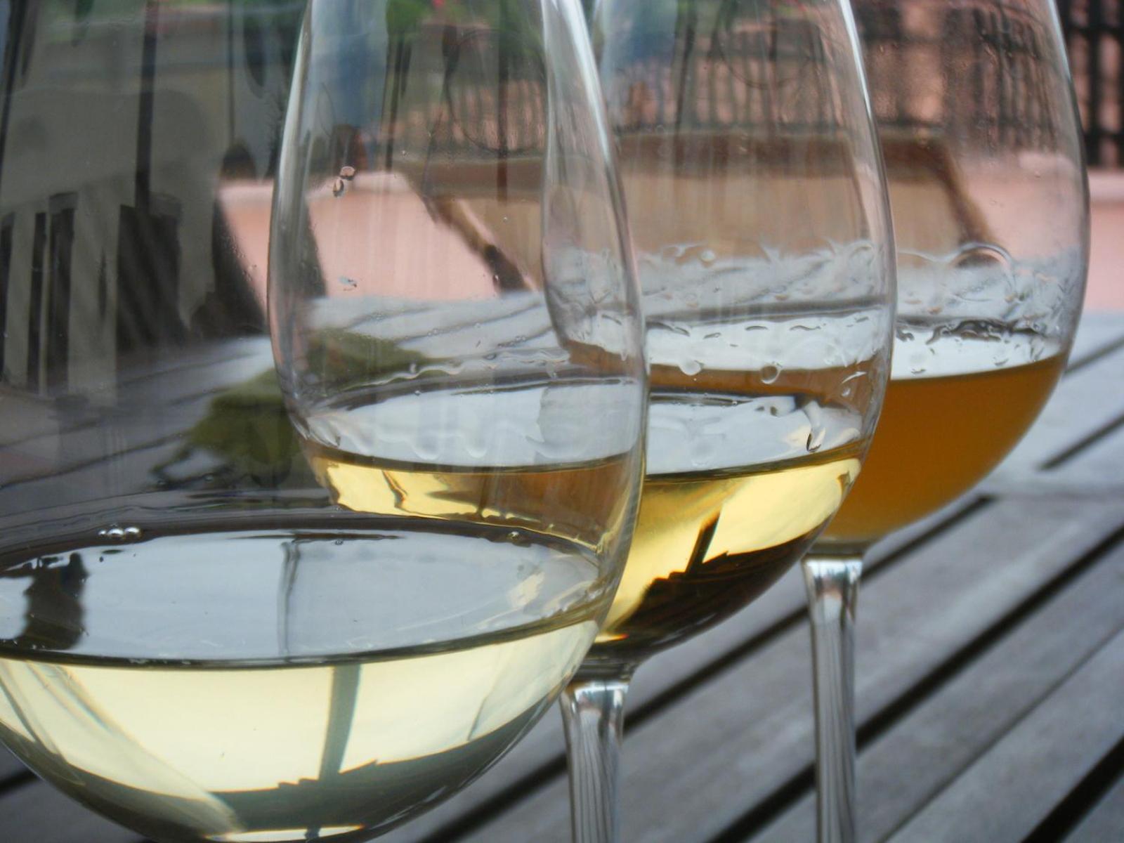 Agriturismo Grillo Iole Winery Prepotto  외부 사진