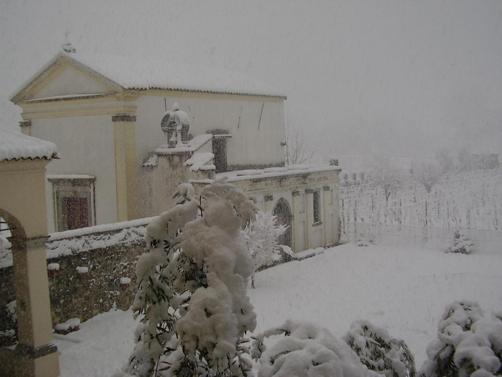 Agriturismo Grillo Iole Winery Prepotto  외부 사진