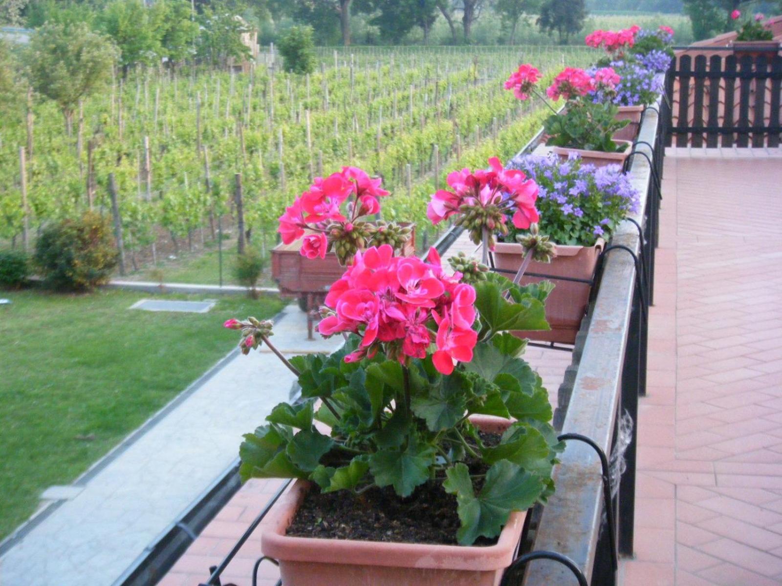 Agriturismo Grillo Iole Winery Prepotto  외부 사진