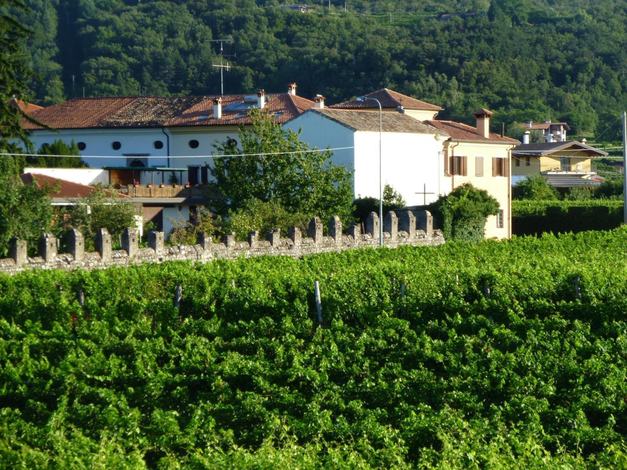 Agriturismo Grillo Iole Winery Prepotto  외부 사진