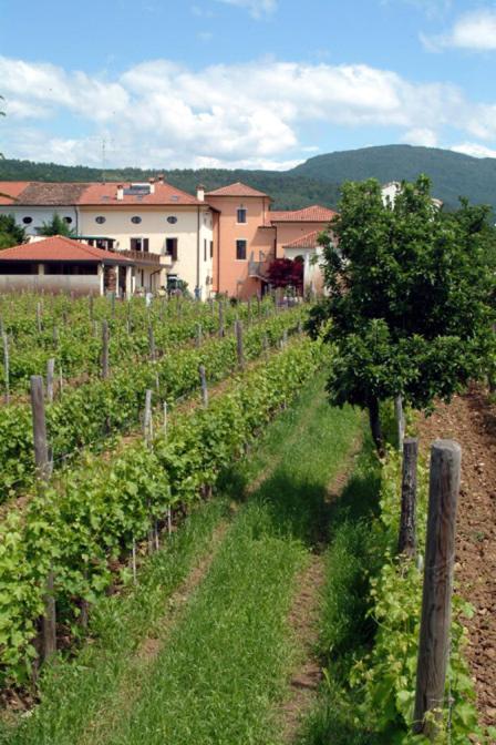Agriturismo Grillo Iole Winery Prepotto  외부 사진